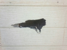 ���ɤ˶�������������佤����